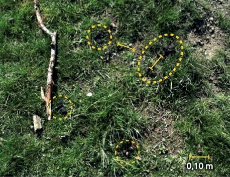 Afbeelding verwijderd.