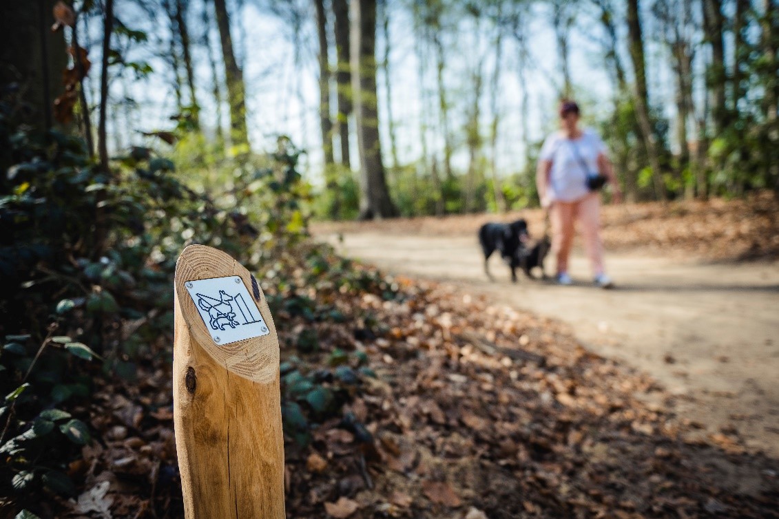 Afbeelding verwijderd.